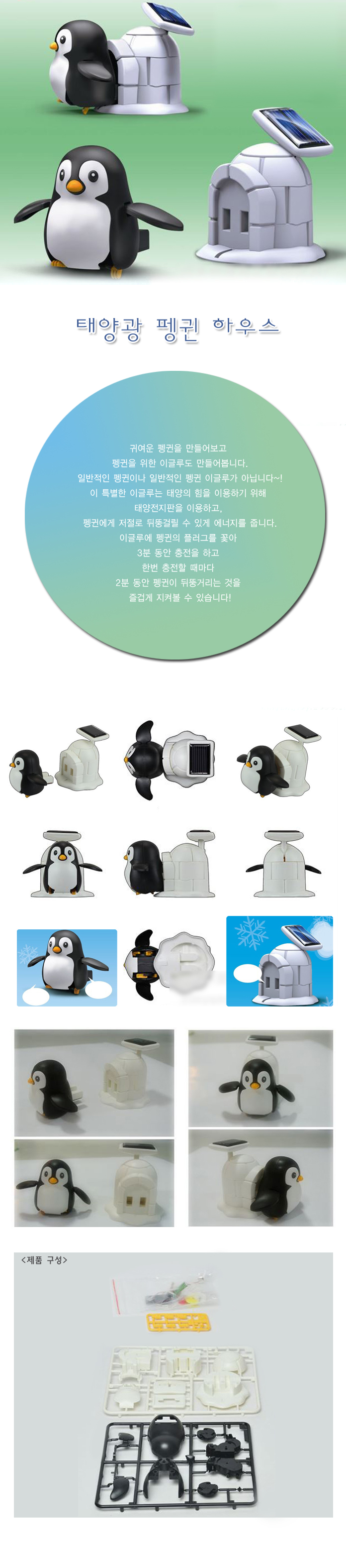 penguins-life.jpg